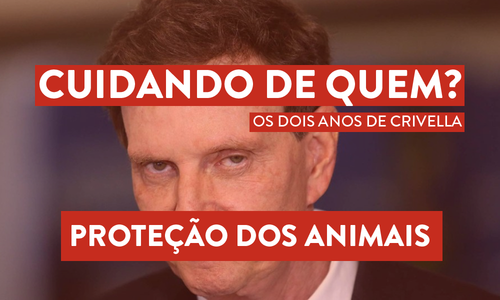 Cuidando de quem? Dois anos de Crivella de retrocesso na proteção animal