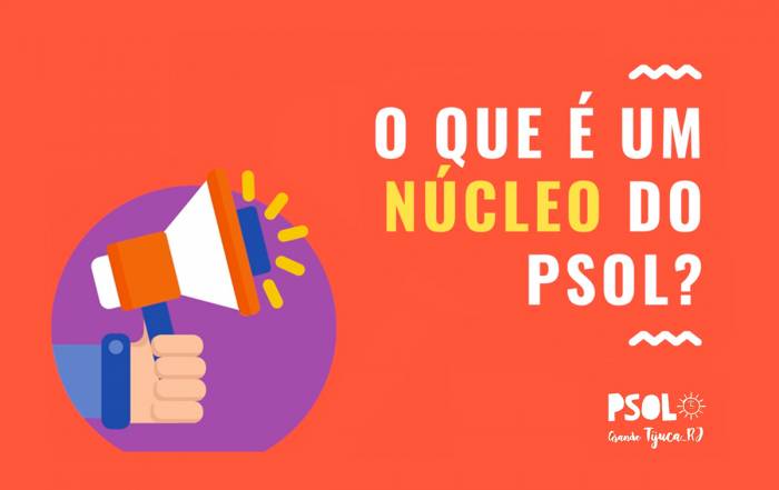 nucleo-psol